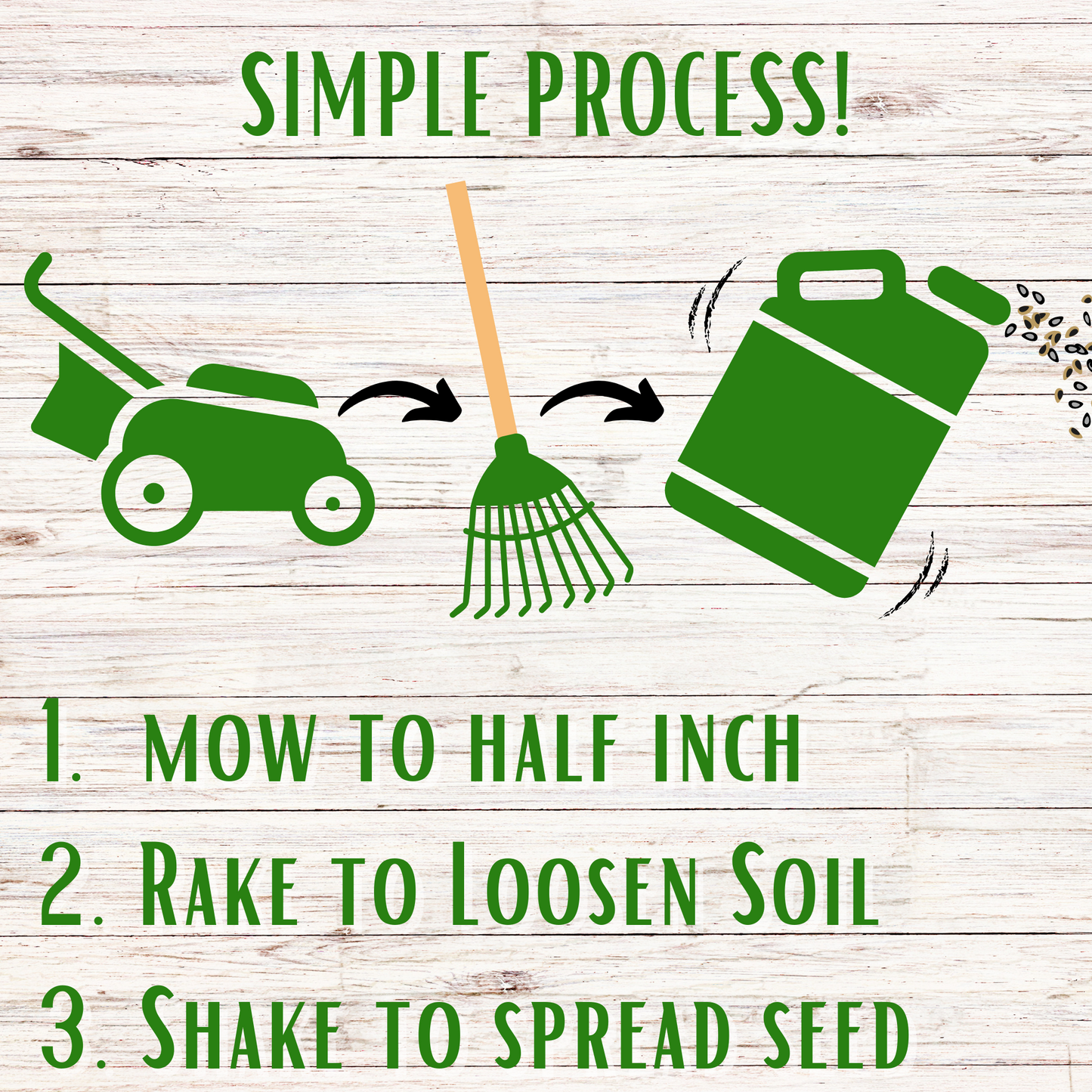 Bee Lawn Seed Kit - Easy Spread Shaker