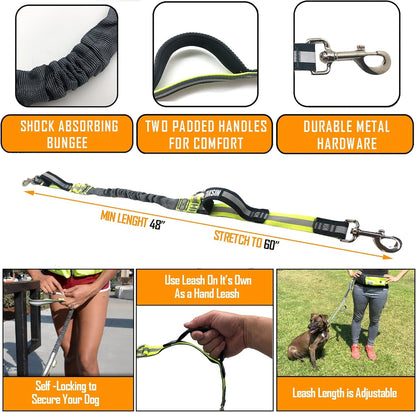 Hands Free Dog Leash Two Dogs Double Bungee Reflective Running Kit