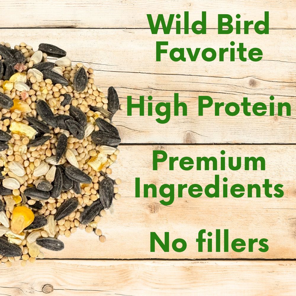 Pollinator & Wild Bird Seed Thick Bee Lawn Blend