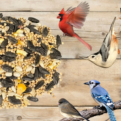 Backyard Birder's Wild Bird Seed Blend