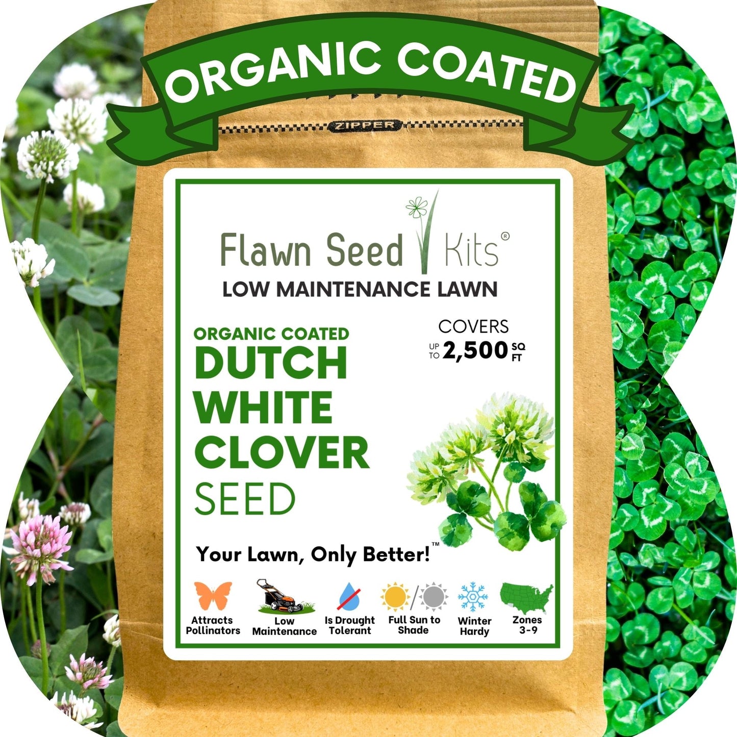 Dutch White Clover Seed