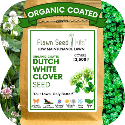 Dutch White Clover Seed