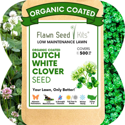 Dutch White Clover Seed