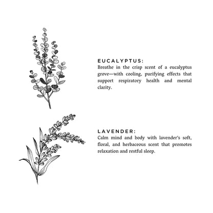 Eucalyptus + Lavender - Signature Soy Candle