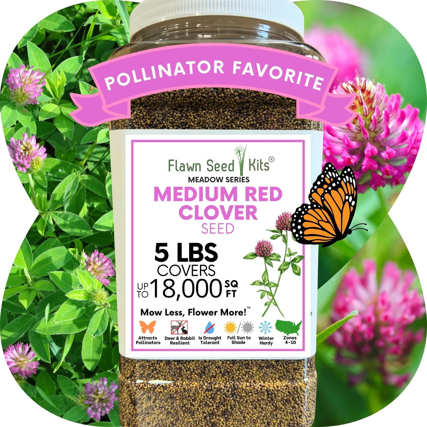 Medium Red Clover Seed