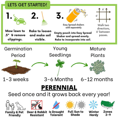 Micro Clover Seed
