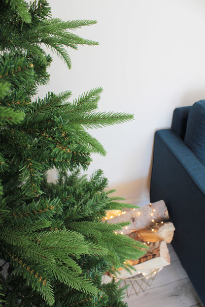 Northern Shasta Fir Full Christmas Tree