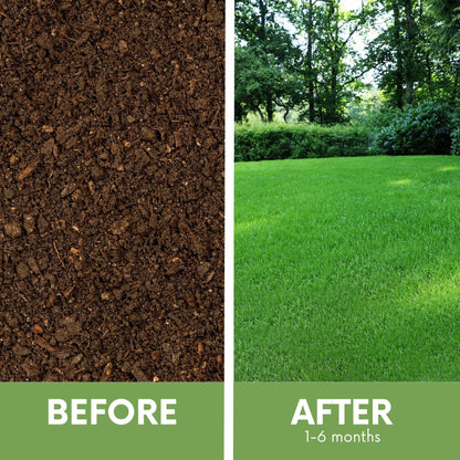 RUFF and TUFF! Grass Seed