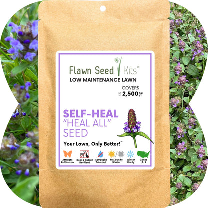Self-Heal Seed Pouch