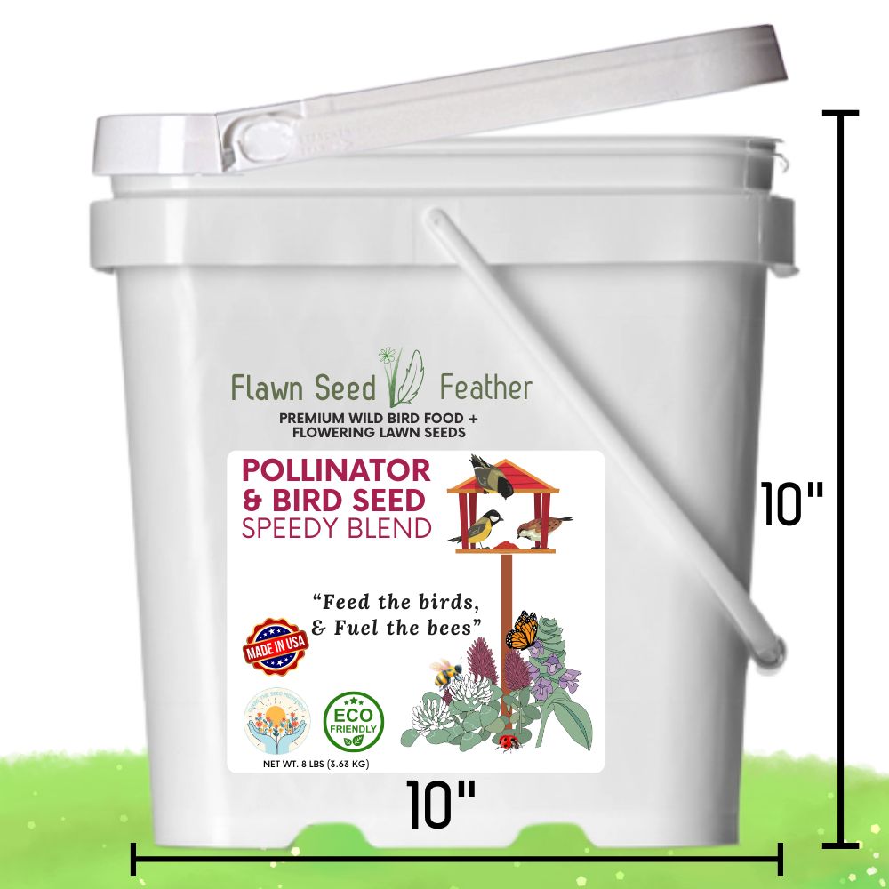 Pollinator & Wild Bird Seed Speedy Blend