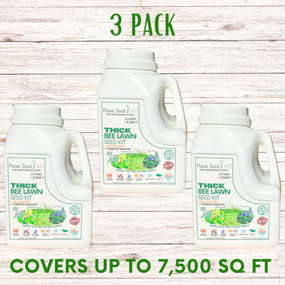 Thick Bee Lawn Seed Kit