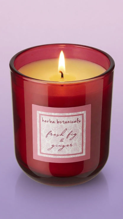 coconut plant-based wax candle