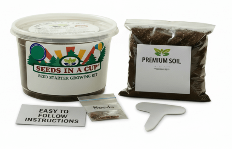 Urban Apartment Balcony Herb Garden Set